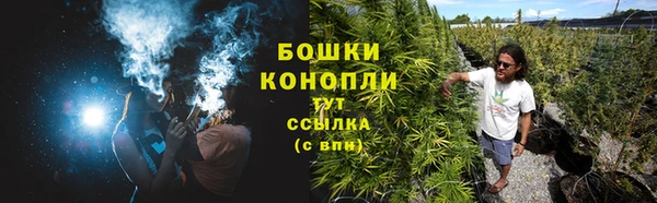 ПСИЛОЦИБИНОВЫЕ ГРИБЫ Аркадак