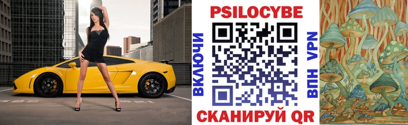 Псилоцибиновые грибы прущие грибы Лукоянов